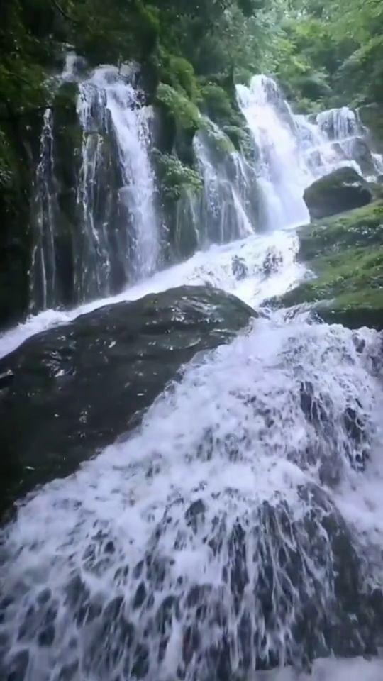 世界杯啦啦队员
